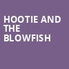 Hootie and the Blowfish, Thompson Boling Arena, Knoxville