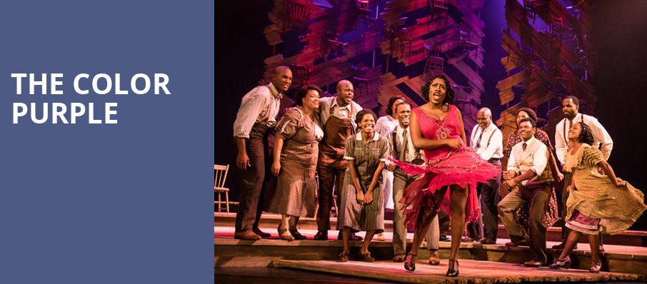 The Color Purple, Tennessee Theatre, Knoxville