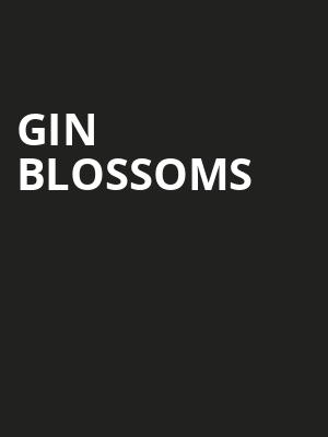 Gin Blossoms, Bijou Theatre, Knoxville